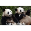 Pandacomics 6