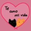 Te amo mi vida