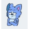 Sebas pro gatito 2020 5