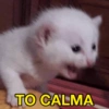 Memes que vc precisa ter 7