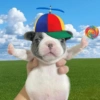 Perro Pibble Meme 🐾 10