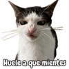 Huele a que mientes