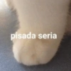 pisada seria