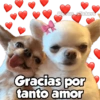 De amor ❤️ 12