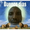 Tumba la casa mami😎 21
