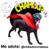 StickerAdoption  7