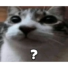 ?