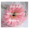 Bom dia! Feliz semana! Beijinhos