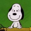 😮‍💨 Reacciones SNOOPY ☕🫐 4 10