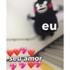 seu amor eu