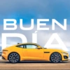 Jaguar Colombia 7