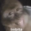 Imbita