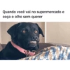 Memes 8