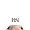Meme random #2 9