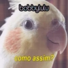 Bobbylulu Pets Edition 6