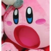 KIRBY 🩷 12