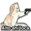 Alto ahí loca