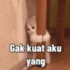 Malu malu kucing 13
