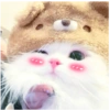 ➳ gato ⊱😽⊱╮
bit.ly/angels-69 7