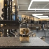Pal gym 🏋🏻‍♂️ 11