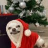 ☃️ A little bit Christmassy ☃️ 11