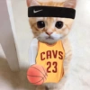 CAVS 23