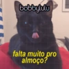 Bobbylulu Pets Edition 7