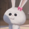 Bunny kelinci 15