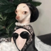 Perritos Elegantes 🍑🍷 11