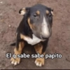 Memes 73 10