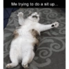 Cat meme funny 17