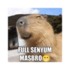 Capybara  17