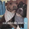 sábado de novios