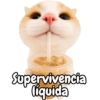 Frases de gatito #2🐱💬 17