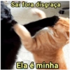 ➳ gato ⊱😽⊱╮
bit.ly/angels-69 29