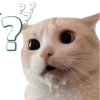 Gatitos para el chat 🫪 5