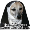 @paraguayita 01 Y vendrán cosas peores dice la Biblia