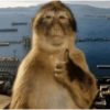 Monos  27