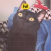 Hi!angel - Pets Edition 2.0 5