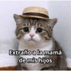 Memes 73 24