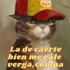 REAL La de caerte bien me vale verga, compa