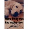 mera dimag mat kha mujhe sone de bass