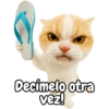 Frases de gatito #2🐱💬 10