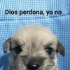 Dios perdona, yo no