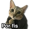 Por fis
