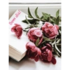 Clube de leitura  Jane Austen 7
