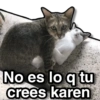 No es lo q tu crees karen