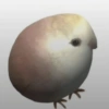 Egg Bird
