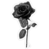 Black Aesthetic 15
