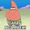 PATRICK 13